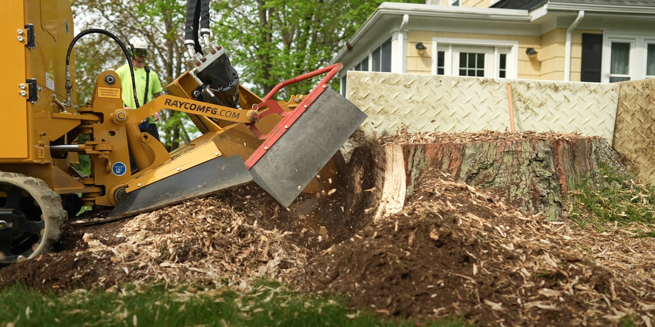Certified arborist consultation service in Celina, TX